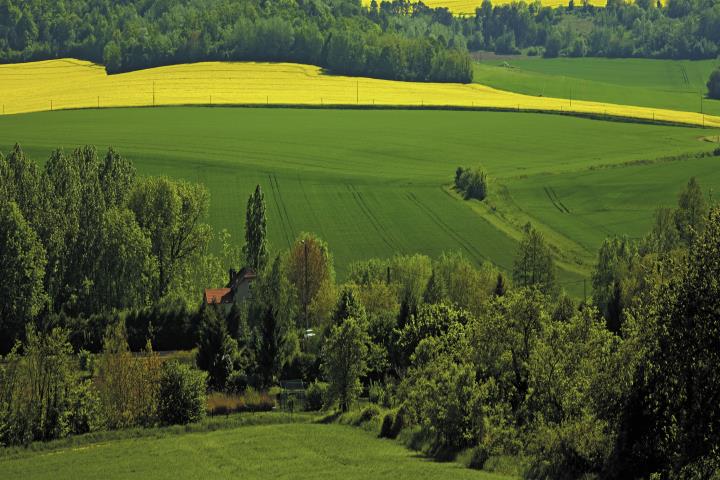 4 jours Le Tulipier ***